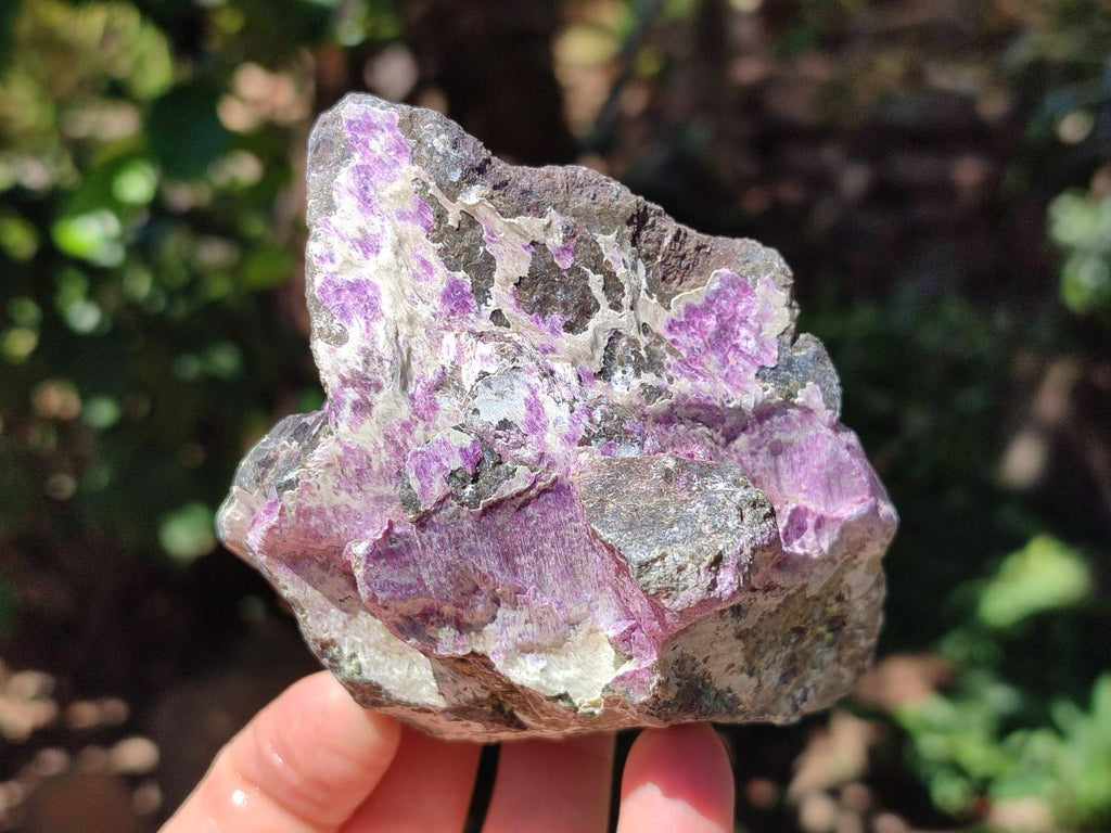 Natural Stichtite Cobbed Specimens x 8 From Barberton, South Africa