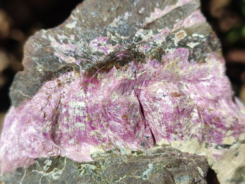 Natural Stichtite Cobbed Specimens x 8 From Barberton, South Africa