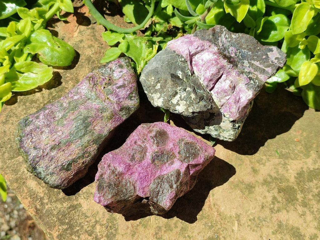 Natural Stichtite Cobbed Specimens x 8 From Barberton, South Africa