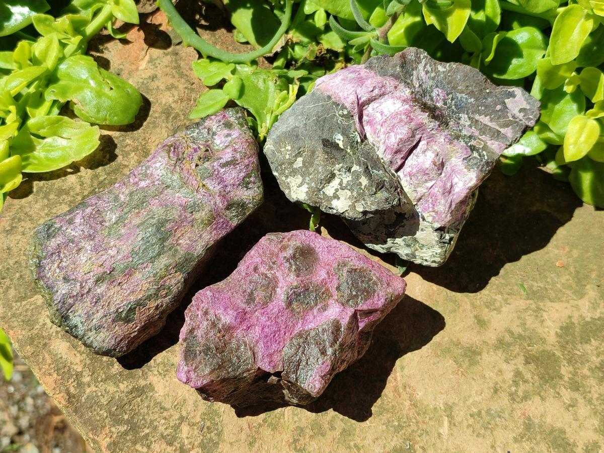 Natural Stichtite Cobbed Specimens x 8 From Barberton, South Africa