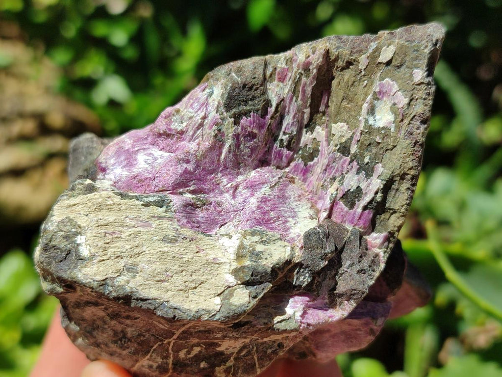 Natural Stichtite Cobbed Specimens x 8 From Barberton, South Africa