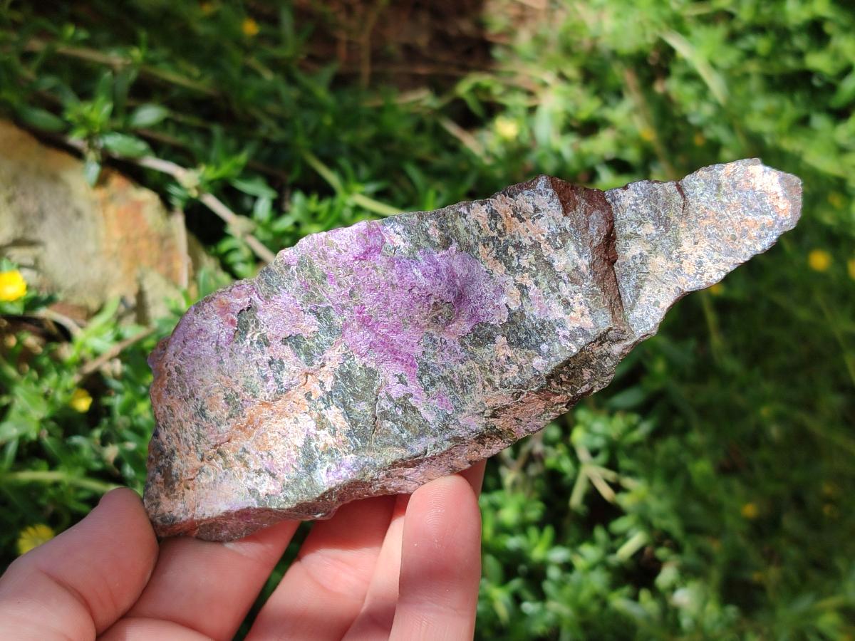 Natural Stichtite Cobbed Specimens x 8 From Barberton, South Africa