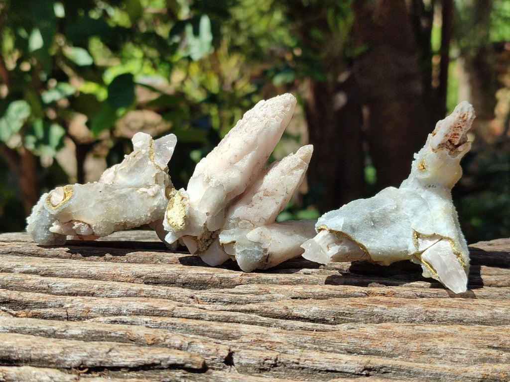 Natural Drusy Quartz Coated Spearhead Calcite Specimens x 12 From Albert's Mountain, Lesotho