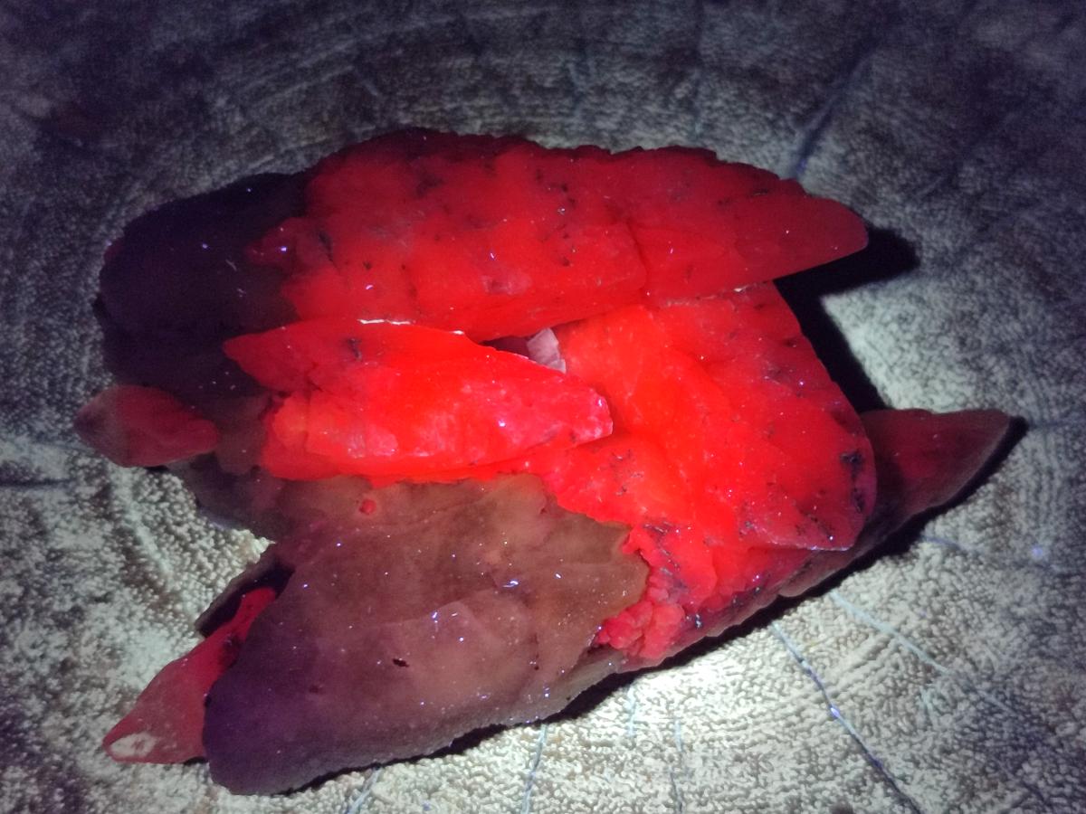 Natural Drusy Quartz Coated Spearhead Calcite Specimens x 12 From Albert's Mountain, Lesotho