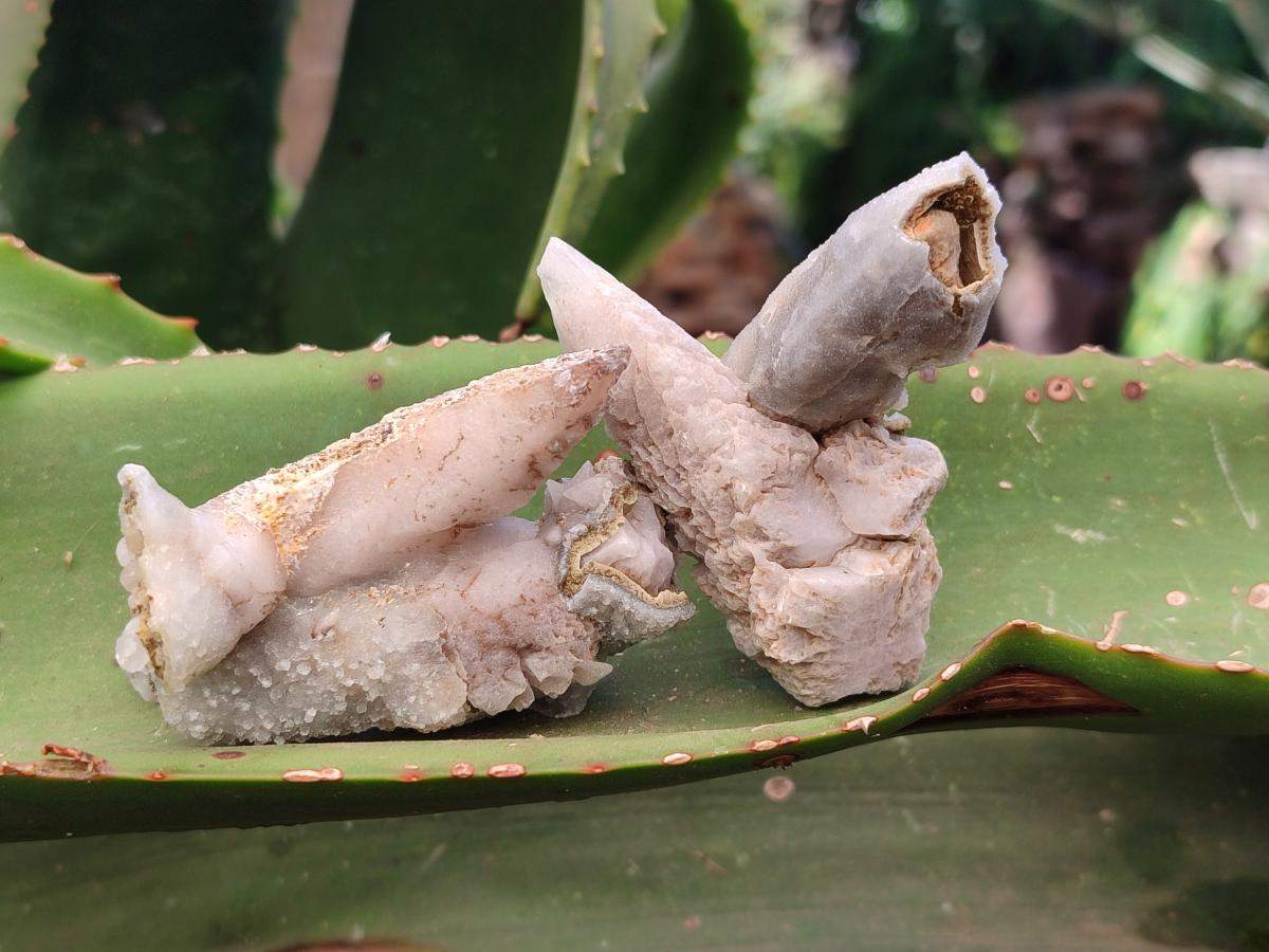 Natural Drusy Quartz Coated Spearhead Calcite Specimens x 12 From Albert's Mountain, Lesotho