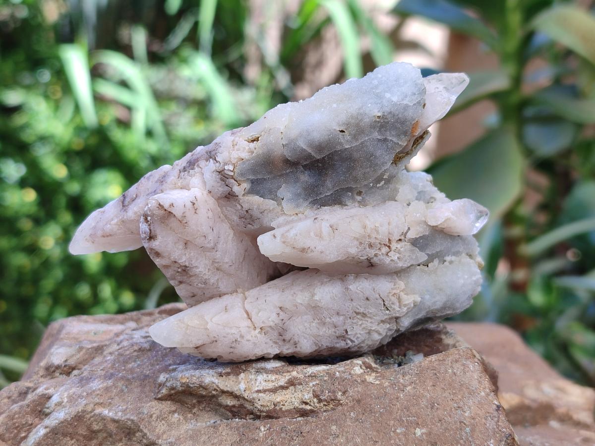 Natural Drusy Quartz Coated Spearhead Calcite Specimens x 12 From Albert's Mountain, Lesotho