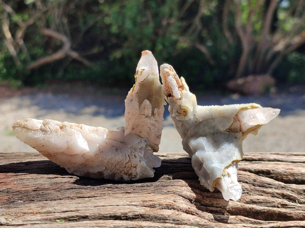 Natural Drusy Quartz Coated Spearhead Calcite Specimens x 12 From Albert's Mountain, Lesotho