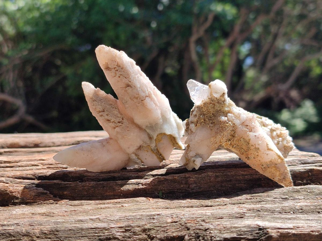 Natural Drusy Quartz Coated Spearhead Calcite Specimens x 12 From Albert's Mountain, Lesotho