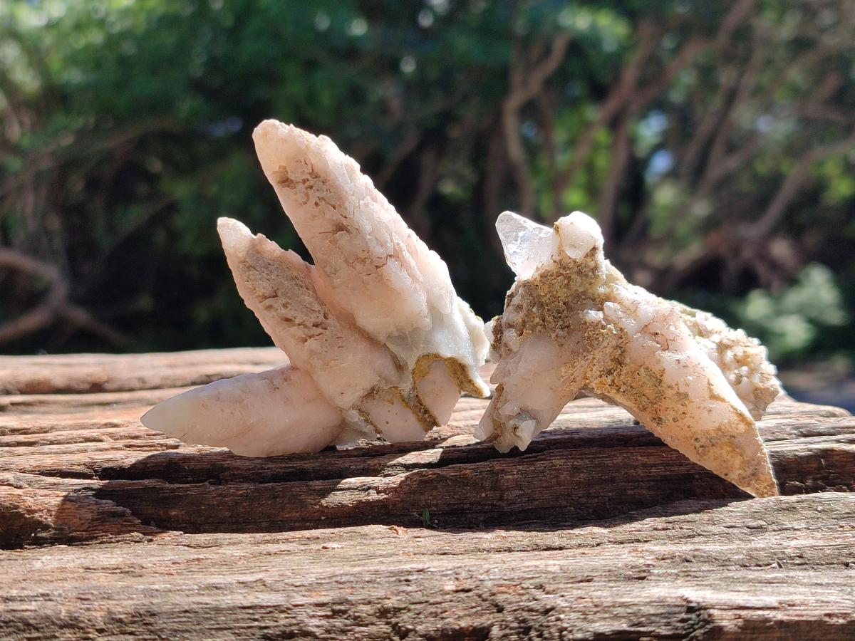 Natural Drusy Quartz Coated Spearhead Calcite Specimens x 12 From Albert's Mountain, Lesotho