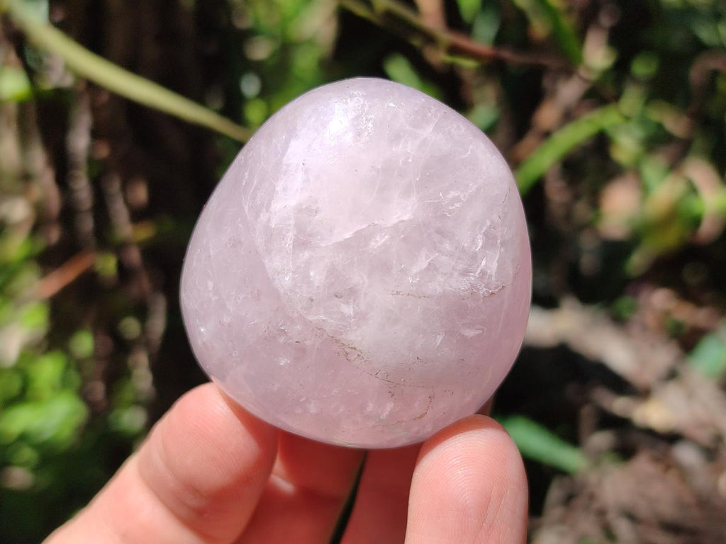 Polished Rose Quartz Standing and Free Forms x 10 From Madagascar