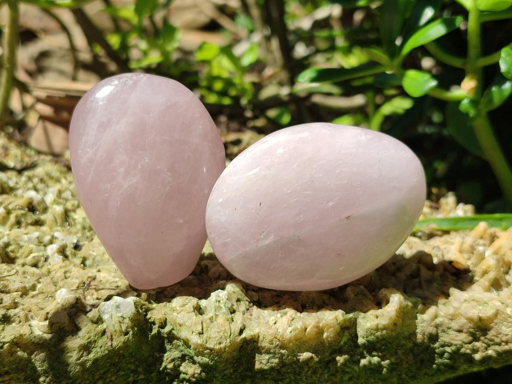 Polished Rose Quartz Standing and Free Forms x 10 From Madagascar