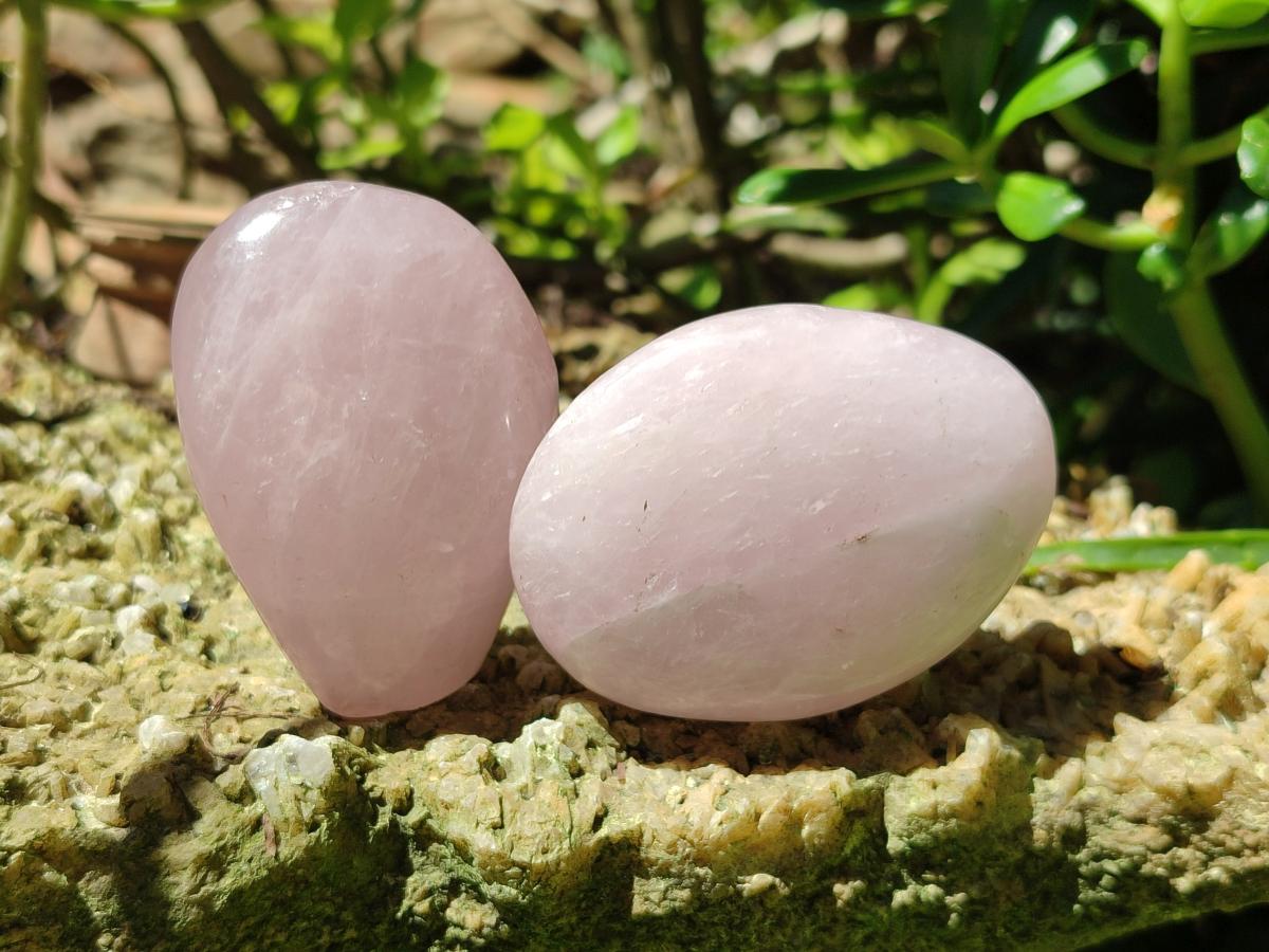 Polished Rose Quartz Standing and Free Forms x 10 From Madagascar