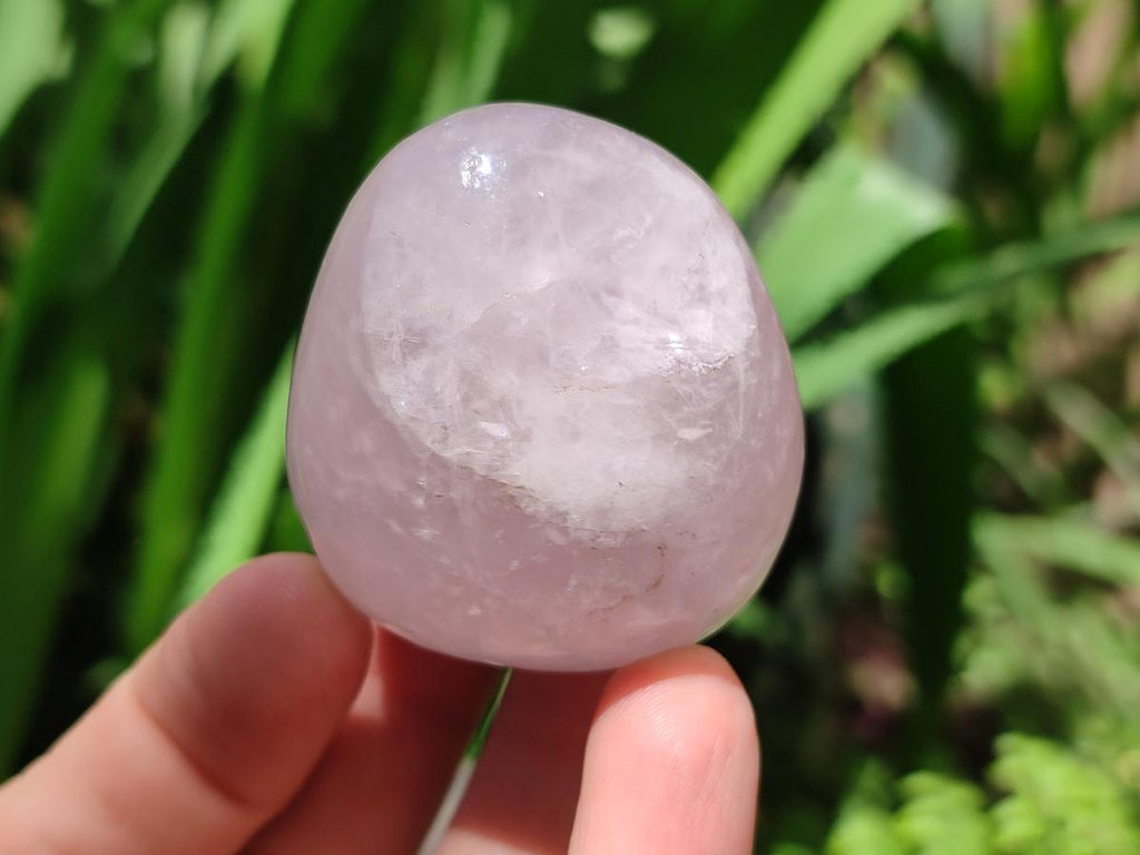 Polished Rose Quartz Standing and Free Forms x 10 From Madagascar