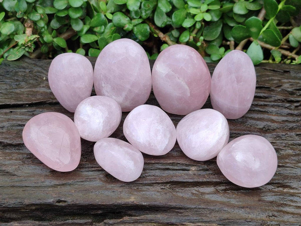 Polished Rose Quartz Standing and Free Forms x 10 From Madagascar