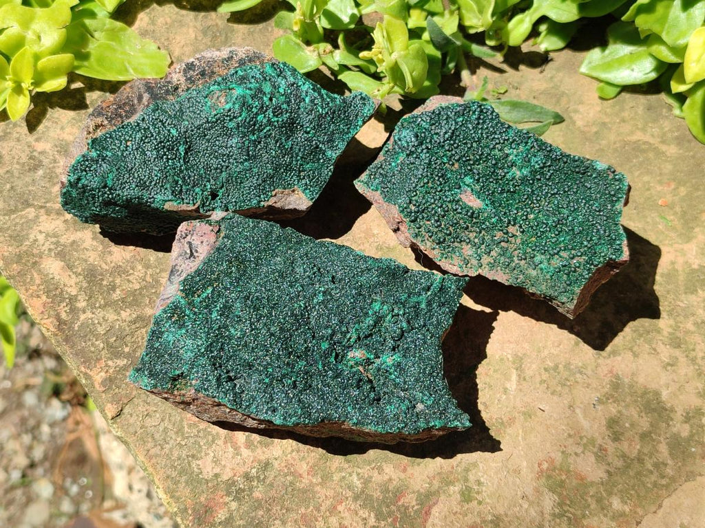 Natural Crystalline Malachite Specimens x 12 From Tenke Fungurume, Congo