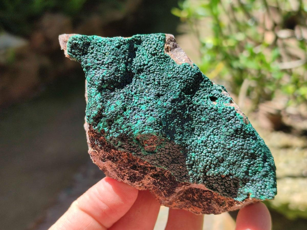 Natural Crystalline Malachite Specimens x 12 From Tenke Fungurume, Congo