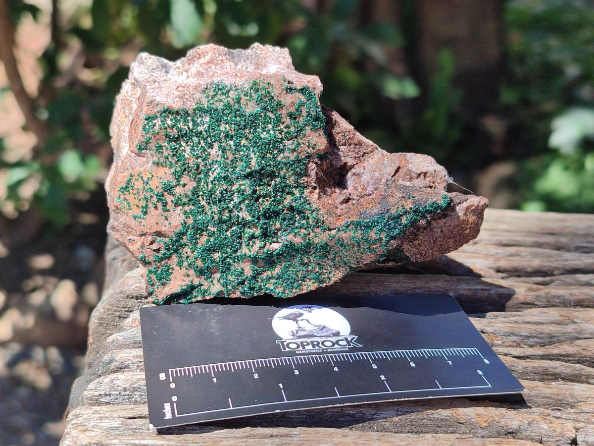 Natural Crystalline Malachite Specimens x 12 From Tenke Fungurume, Congo