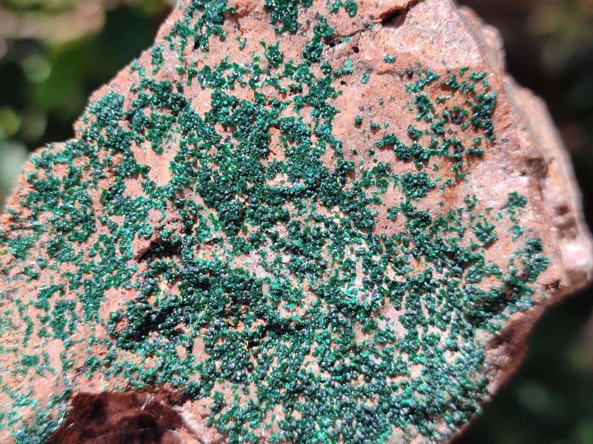 Natural Crystalline Malachite Specimens x 12 From Tenke Fungurume, Congo