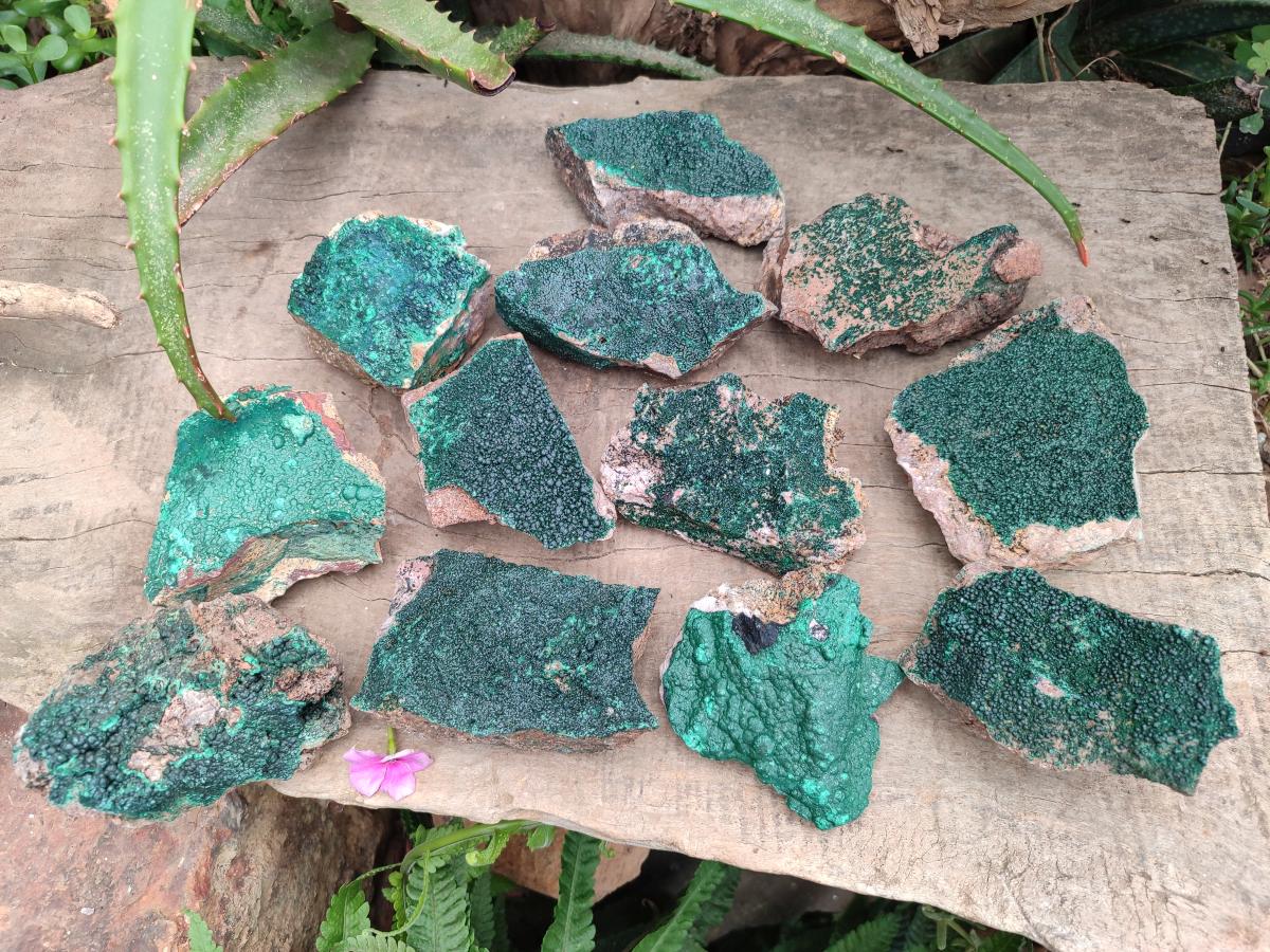 Natural Crystalline Malachite Specimens x 12 From Tenke Fungurume, Congo