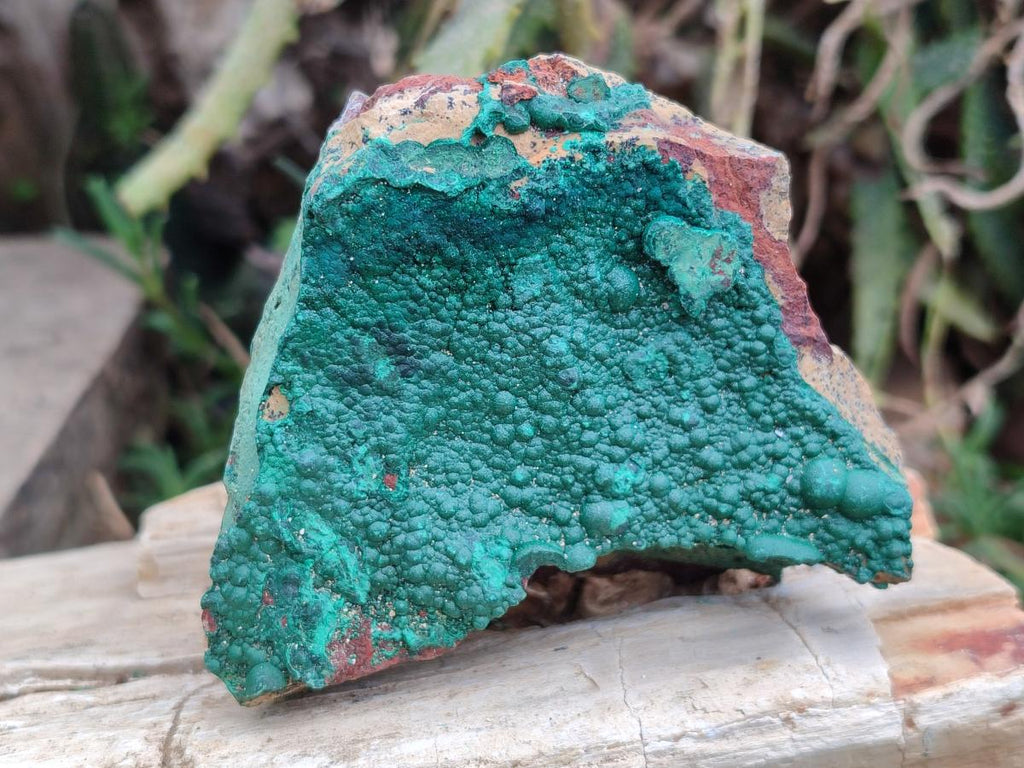 Natural Crystalline Malachite Specimens x 12 From Tenke Fungurume, Congo