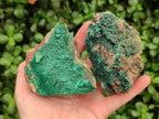 Natural Crystalline Malachite Specimens x 12 From Tenke Fungurume, Congo