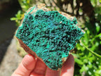 Natural Crystalline Malachite Specimens x 12 From Tenke Fungurume, Congo