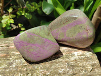 Polished Stichtite Free Forms x 6 From Barberton, South Africa