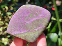 Polished Stichtite Free Forms x 6 From Barberton, South Africa