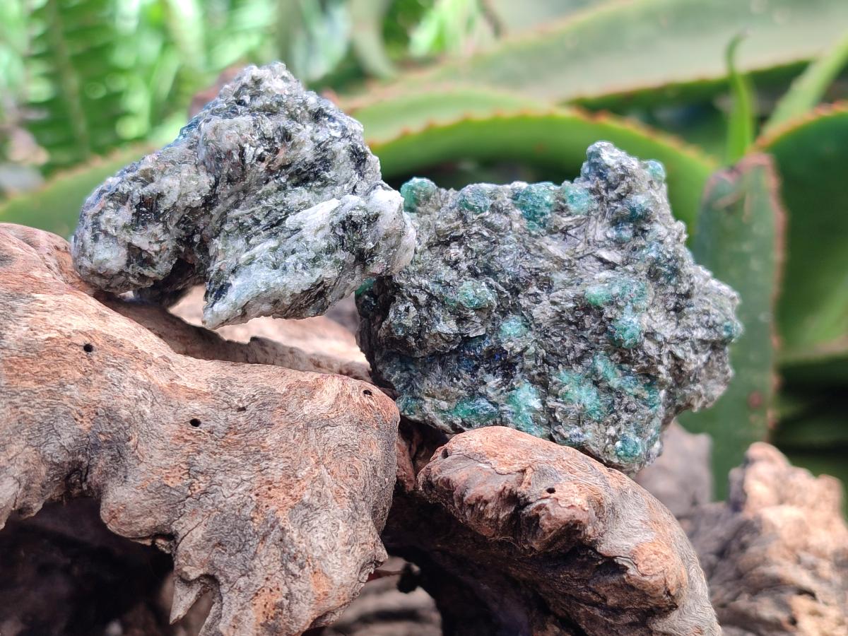 Natural Emerald Mica 'Mutokolite' Cobbed Specimens x 12 From Mutoko, Zimbabwe