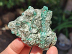 Natural Emerald Mica 'Mutokolite' Cobbed Specimens x 12 From Mutoko, Zimbabwe