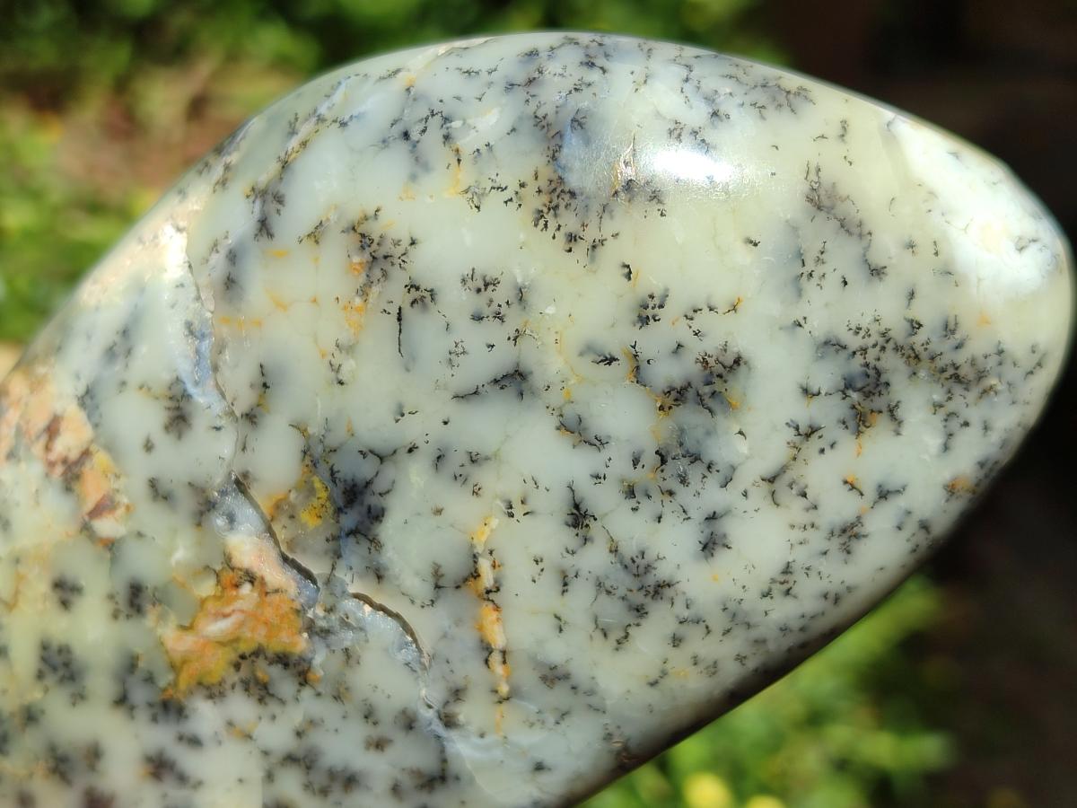 Polished Dendritic Opal Standing Free Forms x 2 From Moralambo, Madagascar