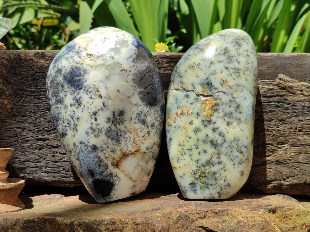 Polished Dendritic Opal Standing Free Forms x 2 From Moralambo, Madagascar