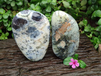 Polished Dendritic Opal Standing Free Forms x 2 From Moralambo, Madagascar