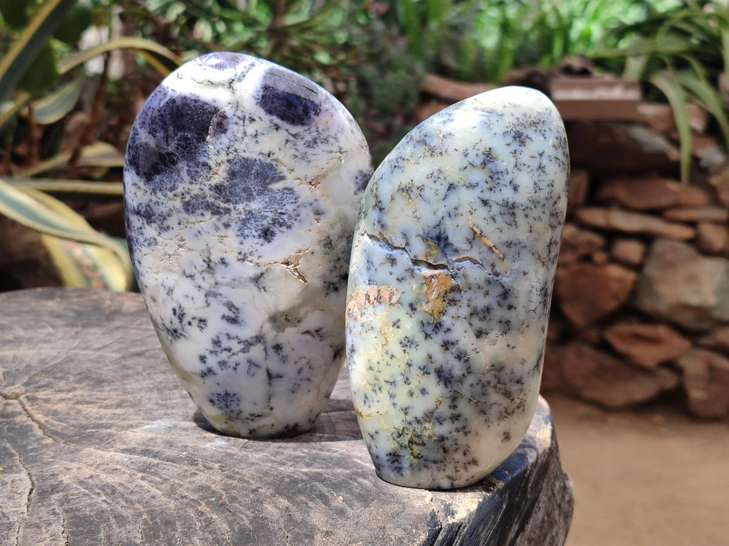 Polished Dendritic Opal Standing Free Forms x 2 From Moralambo, Madagascar