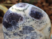 Polished Dendritic Opal Standing Free Forms x 2 From Moralambo, Madagascar