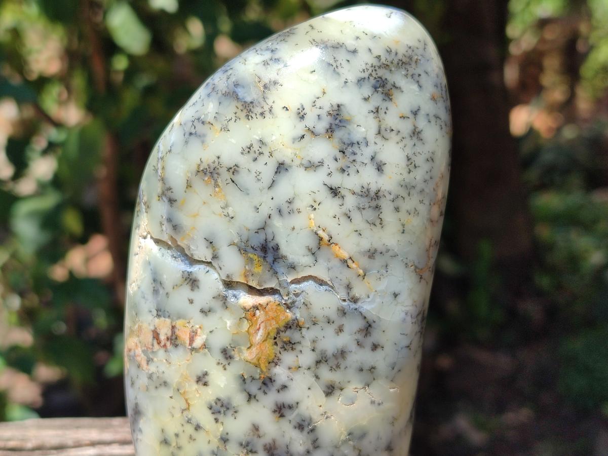 Polished Dendritic Opal Standing Free Forms x 2 From Moralambo, Madagascar