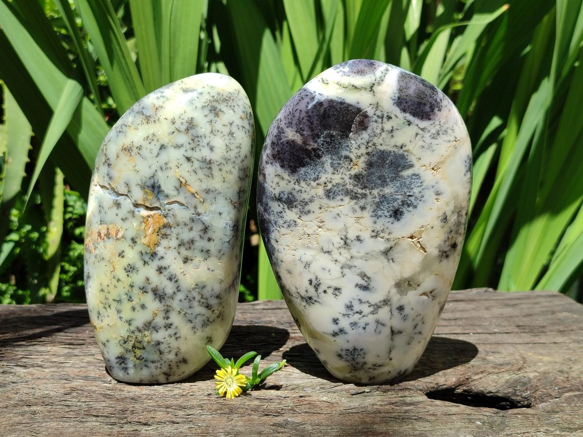 Polished Dendritic Opal Standing Free Forms x 2 From Moralambo, Madagascar