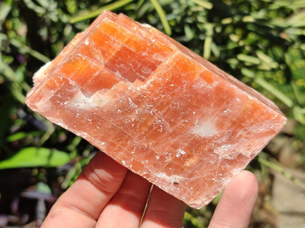Natural Sunset Orange Calcite Specimens x 4 From Spitzkop, Namibia
