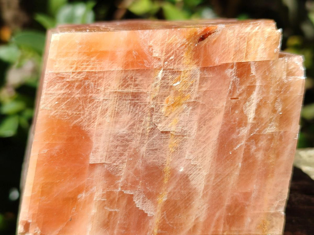 Natural Sunset Orange Calcite Specimens x 4 From Spitzkop, Namibia