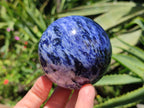 Polished Sodalite Spheres x 2 From Kunene River, Namibia