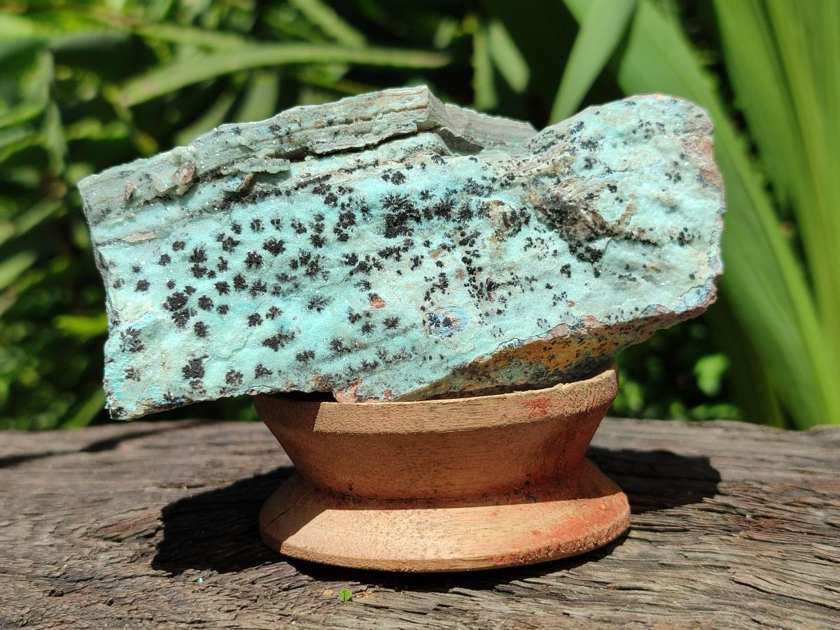 Natural Drusy Coated Chrysocolla On Dolomite Specimens x 6 From Likasi, Congo