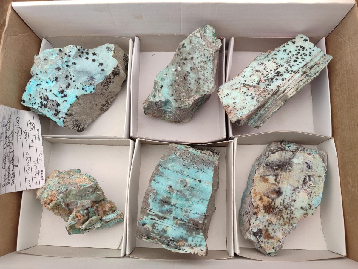 Natural Drusy Coated Chrysocolla On Dolomite Specimens x 6 From Likasi, Congo