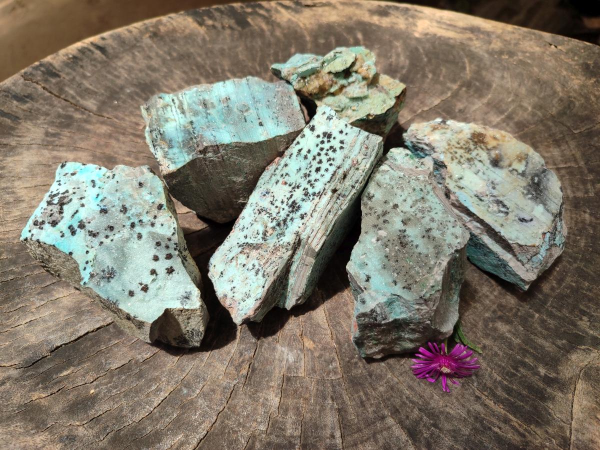 Natural Drusy Coated Chrysocolla On Dolomite Specimens x 6 From Likasi, Congo