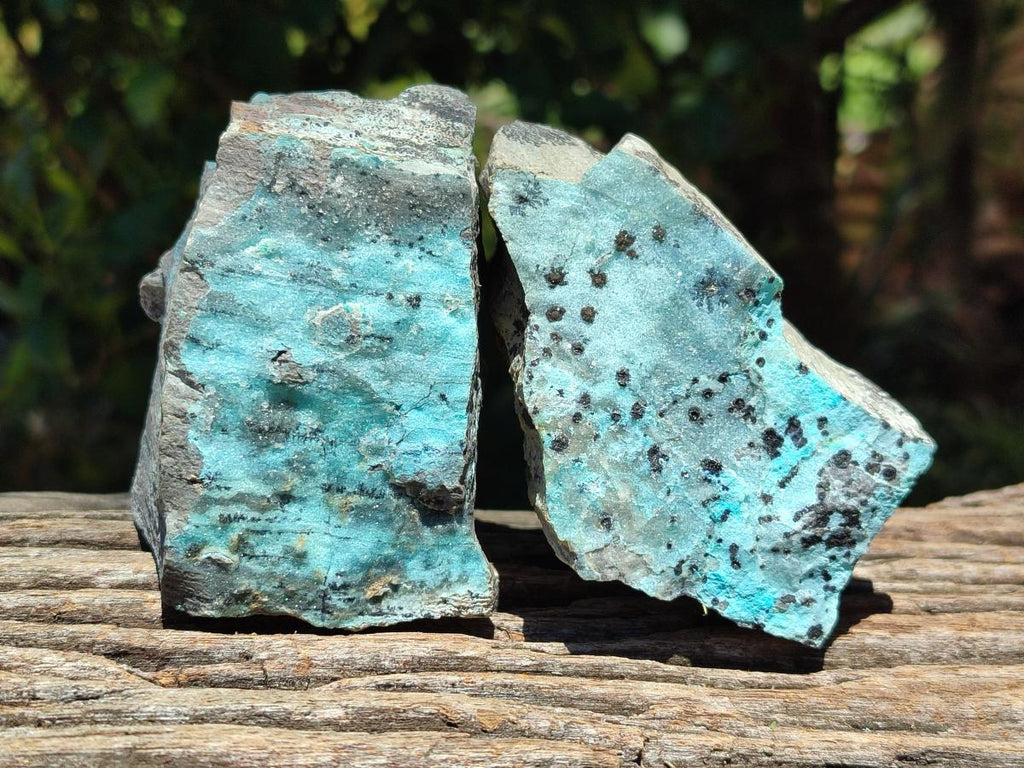 Natural Drusy Coated Chrysocolla On Dolomite Specimens x 6 From Likasi, Congo