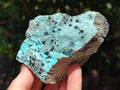 Natural Drusy Coated Chrysocolla On Dolomite Specimens x 6 From Likasi, Congo