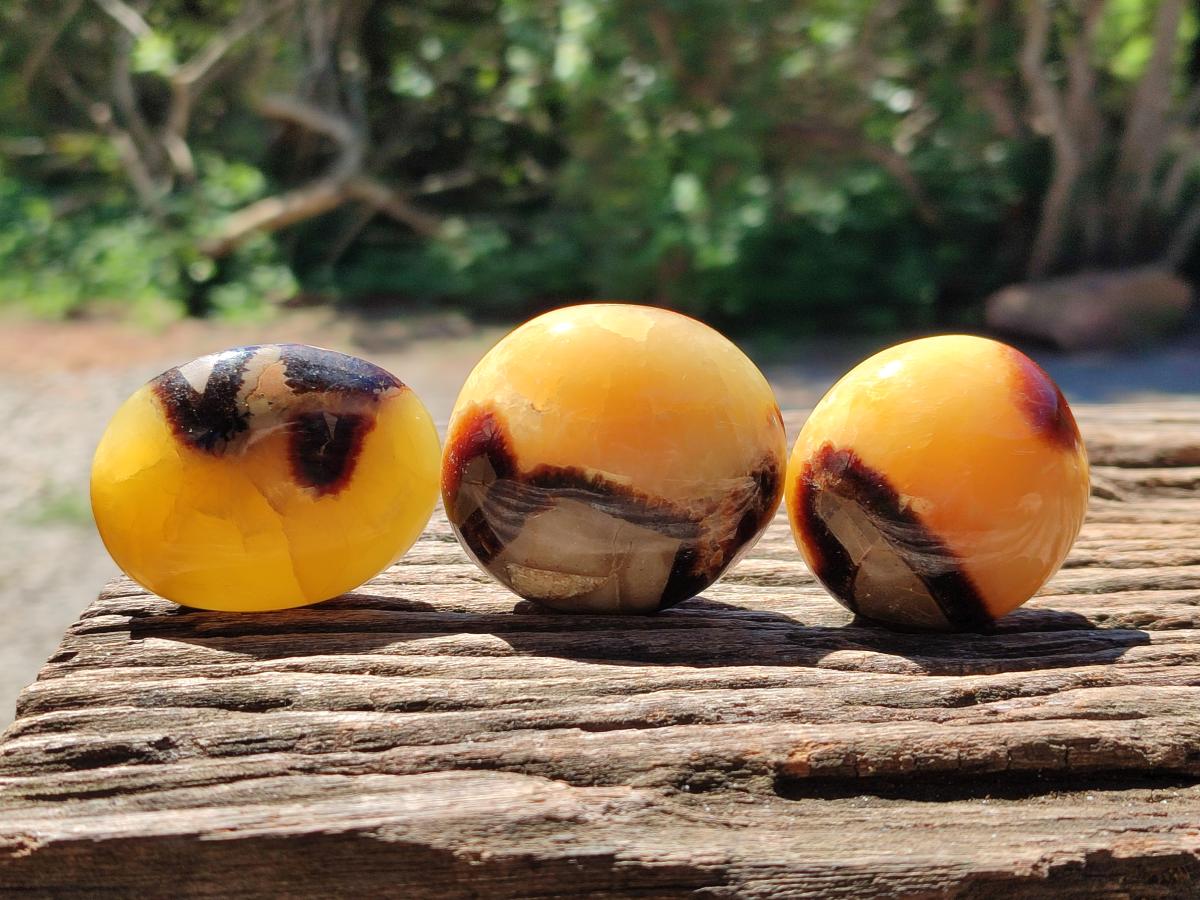 Polished Septerye Galets x 12 From Mahajanga, Madagascar