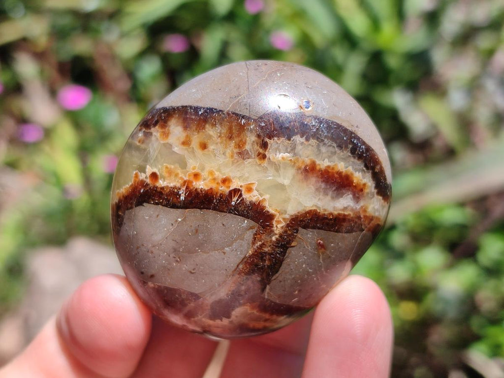 Polished Septerye Galets x 12 From Mahajanga, Madagascar