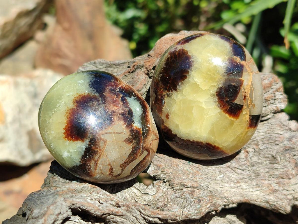 Polished Septerye Galets x 12 From Mahajanga, Madagascar