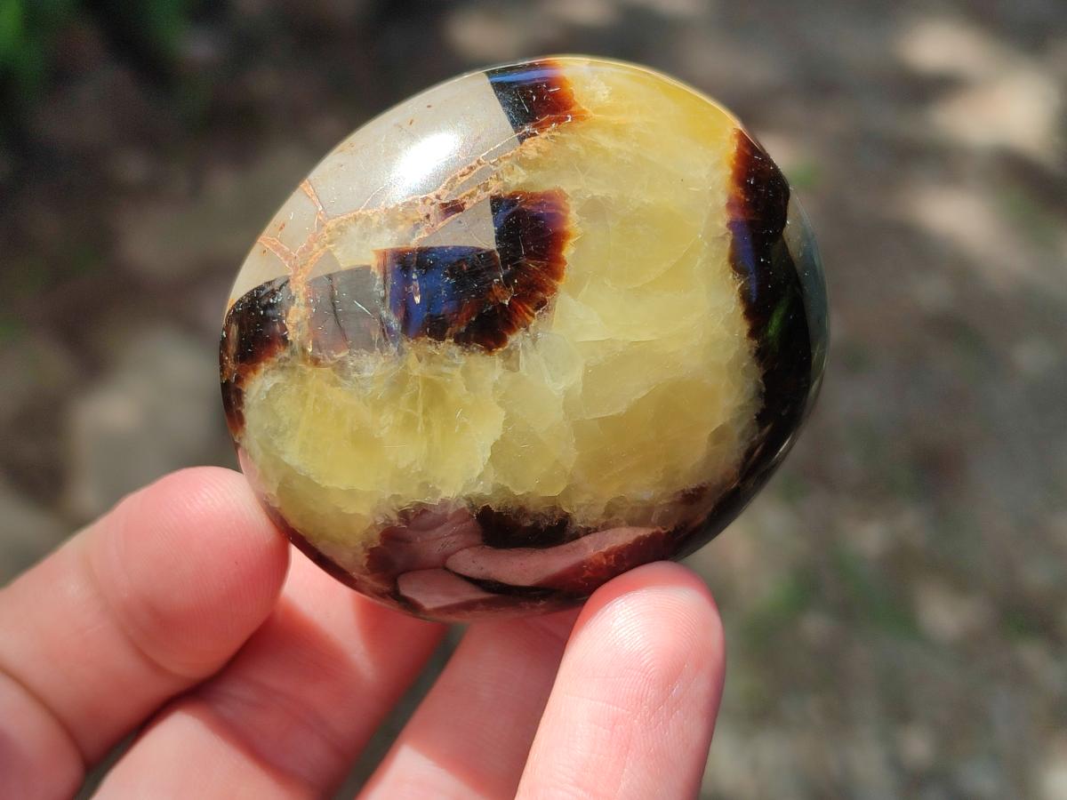 Polished Septerye Galets x 12 From Mahajanga, Madagascar