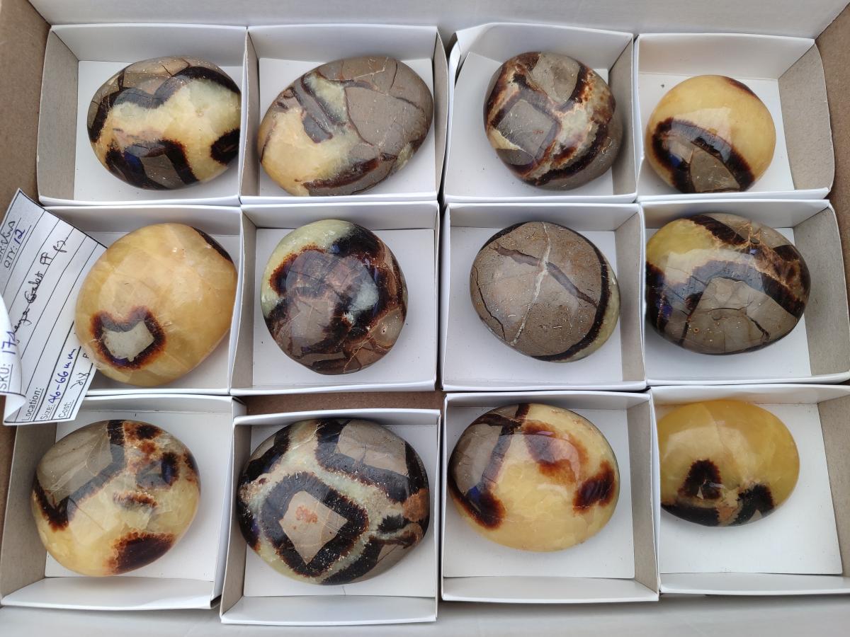 Polished Septerye Galets x 12 From Mahajanga, Madagascar